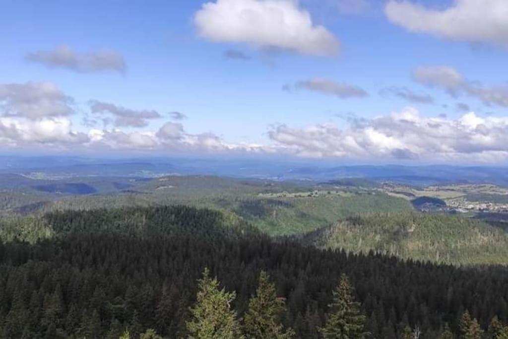 Studio Avec Belle Vue Proche Du Lac Genin Echallon Eksteriør bilde