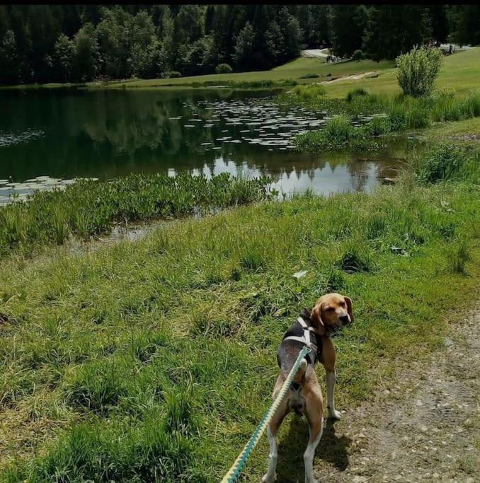 Studio Avec Belle Vue Proche Du Lac Genin Echallon Eksteriør bilde